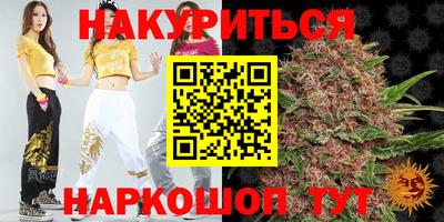 индика Можайск