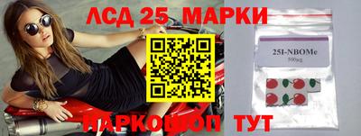 СК Можга