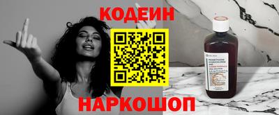 индика Можайск
